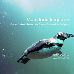 MON DODO TURQUOISE - SOMNA INSTITUT