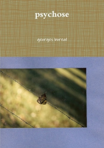 Psychose - Boréal Georges
