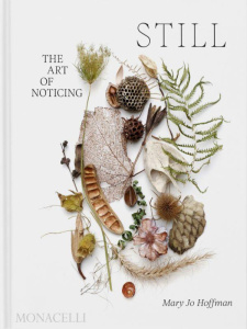 STILL - THE ART OF NOTICING - HOFFMAN MARY JO