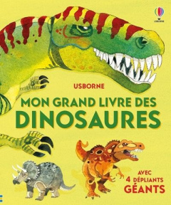 Mon grand livre des dinosaures. Avec 4 dépliants géants - Frith Alex ; Fiorin Fabiono