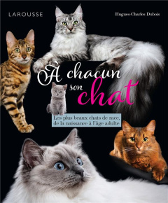 A chacun son chat. Les plus beaux chats de race, de la naissance à l'âge adulte - Dubois Hughes-charles