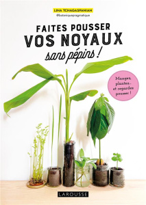 Faites pousser vos noyaux sans pépins ! Mangez, plantez... et regardez pousser ! - Tchagaspanian Lina