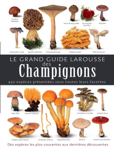 Le grand guide Larousse des champignons - Laessoe Thomas ; Porlier Bruno