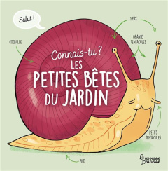 Connais-tu les petites bêtes du jardin ? - Besson Agnès ; Ferrández Candela