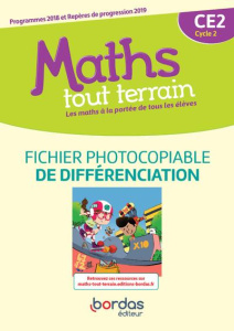 Maths CE2 Maths tout terrain. Edition 2020 - Louzoun Danielle ; Amouyal Xavier ; Brun Jacques ;
