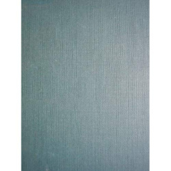 L'iguane - Blanzat Jean