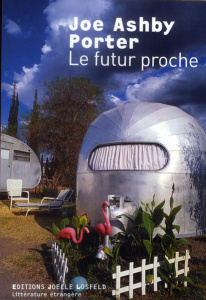 Le futur proche - Porter Joe Ashby ; Hoepffner Bernard