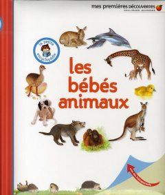 Les bébés animaux - Gravier Delphine ; Bour Laura ; Fuhr Ute ; Sautai