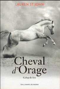 Cheval d'Orage Tome 3 : Galop de feu - St John Lauren ; Marchand Alice