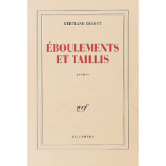 Eboulements et taillis - Degott Bertrand
