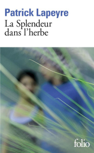 La Splendeur dans l'herbe - Lapeyre Patrick