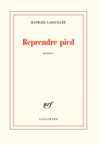 Reprendre pied - Laiguillée Raphaël
