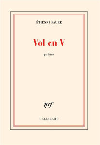 Vol en V - Faure Etienne