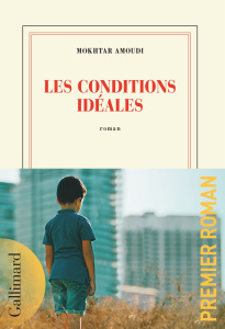 Les conditions idéales - Amoudi Mokhtar