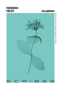 Les plaines - Falco Federico ; Corradi Antoine