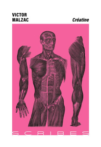 Créatine - Malzac Victor