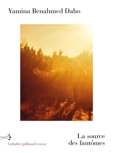 La source des fantômes - Benahmed Daho Yamina