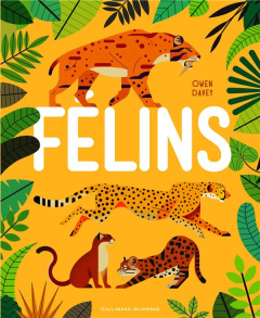 Félins - Davey Owen ; Destephen Catherine