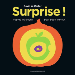 Surprise ! - Carter David-A