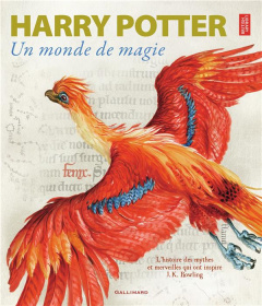 Harry Potter. Un monde de magie - COLLECTIF