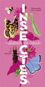 Insectes autour de nous - Kecir-Lepetit Emmanuelle ; Maupetit Léa