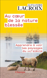 Au coeur de la nature blessée. Apprendre à voir les paysages du XXIe siècle - Lacroix Alexandre