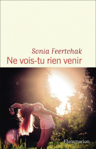 Ne vois-tu rien venir - Feertchak Sonia