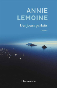 Des jours parfaits - Lemoine Annie
