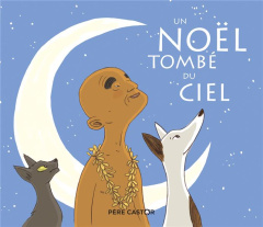 Un Noël tombé du ciel - Bertron-Martin Agnès ; Abolivier Aurélie