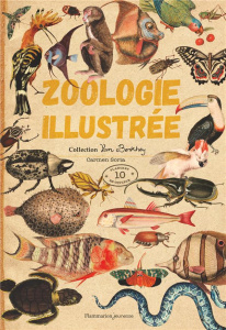 Zoologie illustrée. Collection Van Berkhey - Soria Carmen ; Guevara d'Angelo Andrés