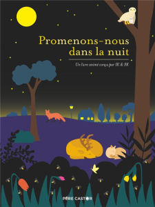 Promenons-nous dans la nuit - Kim Inkyeong ; Kim Sunkyung
