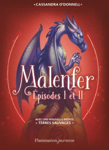 Malenfer Episodes I et II : La forêt des ténèbres ; La source magique. Avec une nouvelle inédite : T - O'Donnell Cassandra ; Fleury Jérémie