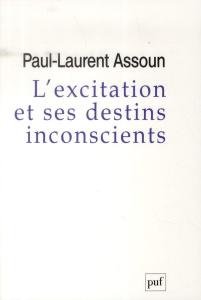 L'excitation et ses destins inconscients. Court Traité psychanalytique de l'excitation - Assoun Paul-Laurent