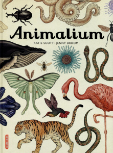 Animalium - Broom Jenny ; Scott Katie ; Gros Emmanuel ; Knapp