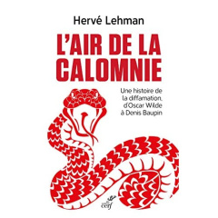 L'air de la calomnie. Une histoire de diffamation d'Oscar Wilde à Denis Baupin - Lehman Hervé