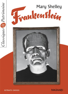 Frankenstein - Shelley Mary ; Saladin Jules ; Tomblaine Philippe