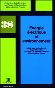 Energie électrique et environnement - Ginocchio Roger
