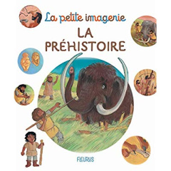 La préhistoire - Beaumont Emilie ; Didierjean Marie-Anne ; Moncel M