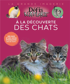 A la découverte des chats - Trochet-Desmaziers Marie-Alice ; Angaud Ambrine