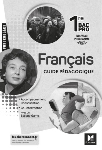 Français 1re Bac Pro Passerelles. Guide pédagogique, Edition 2020 - Sendre-Haïdar Michèle ; Abjean Françoise ; Benista