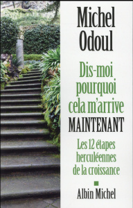 Dis-moi pourquoi cela m'arrive maintenant. Les 12 étapes herculéennes de la croissance - Odoul Michel