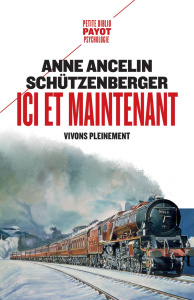 Ici et maintenant. Vivons pleinement - Ancelin Schützenberger Anne
