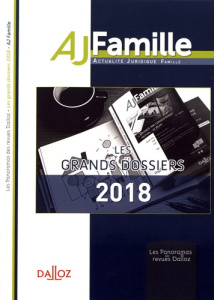 Les grands dossiers 2018 de l'AJ Famille - Avena-Robardet Valérie