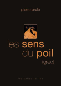 Les sens du poil. (grec) - Brulé Pierre ; Casevitz Michel