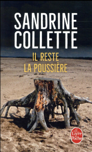 Il reste la poussière - Collette Sandrine