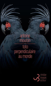Toto perpendiculaire au monde - Mouton Antoine