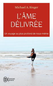 L'âme délivrée. Un voyage au plus profond de nous-même - Singer Michael A. ; Hallé Christian