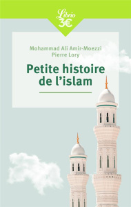 Petite histoire de l'islam - Amir-Moezzi Mohammad-Ali ; Lory Pierre