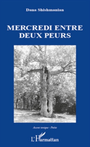 Mercredi entre deux peurs - Shishmanian Dana