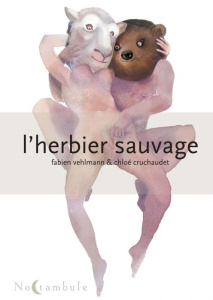L'Herbier sauvage - Vehlmann Fabien ; Cruchaudet Chloé